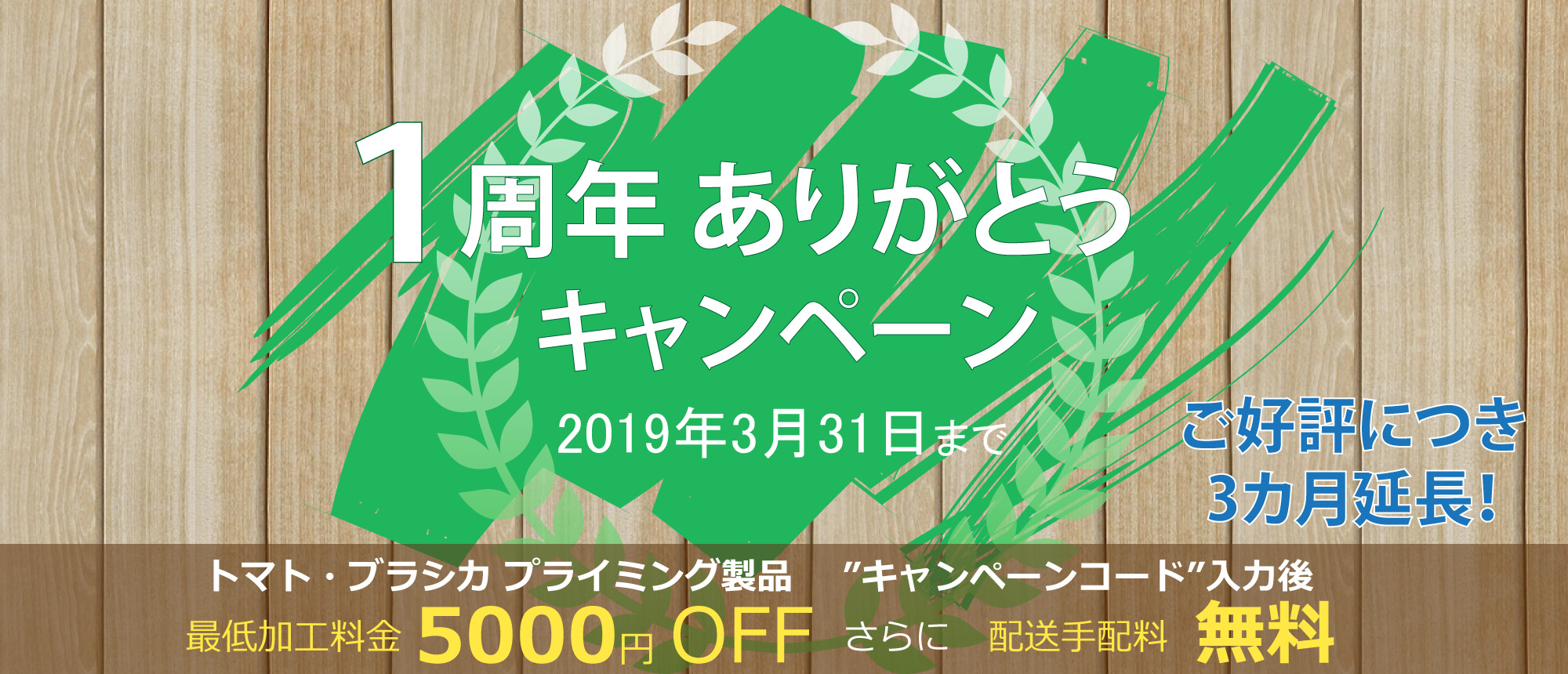 日本シードテクノ創業キャンペーン